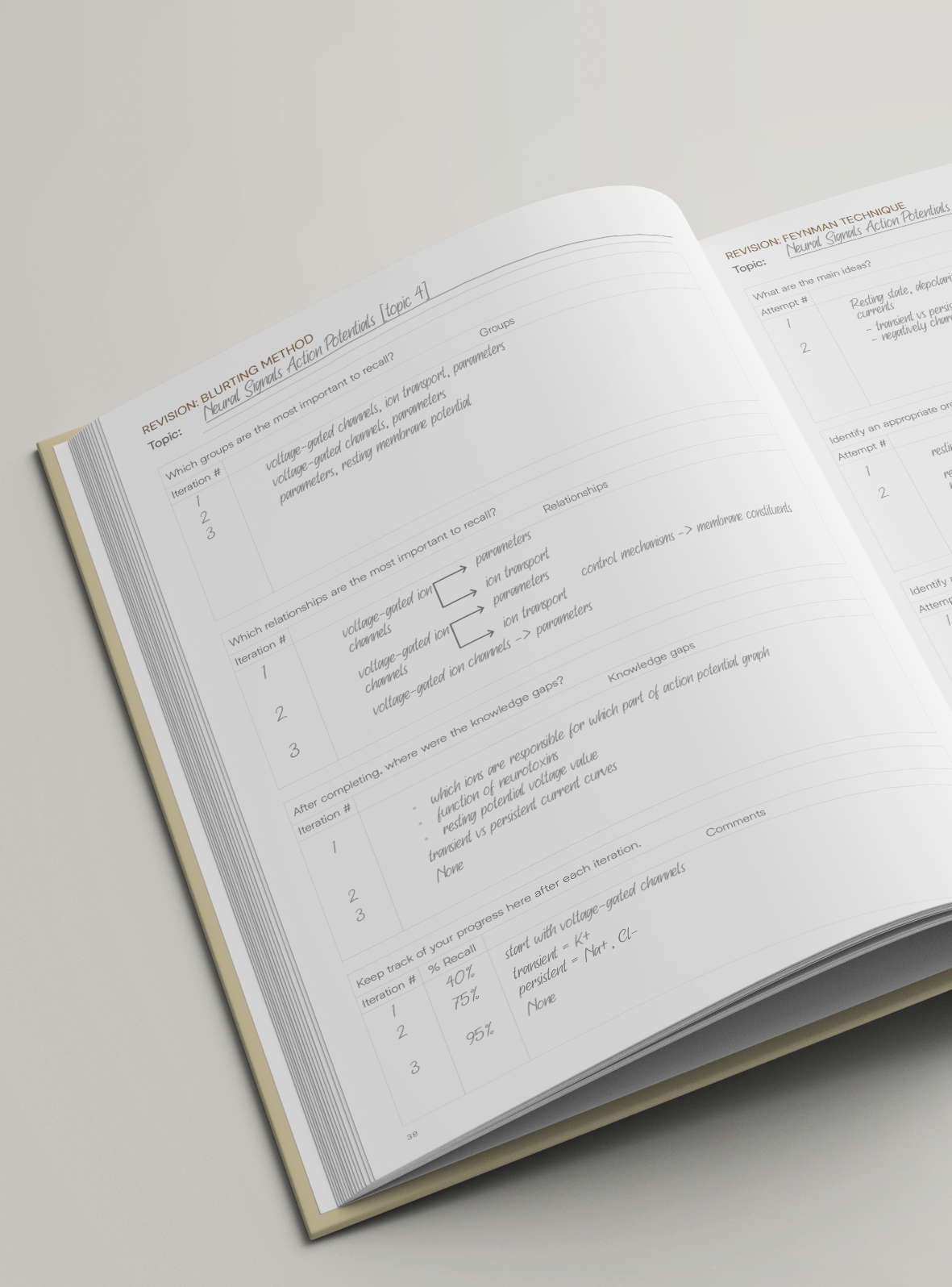 The Learning System