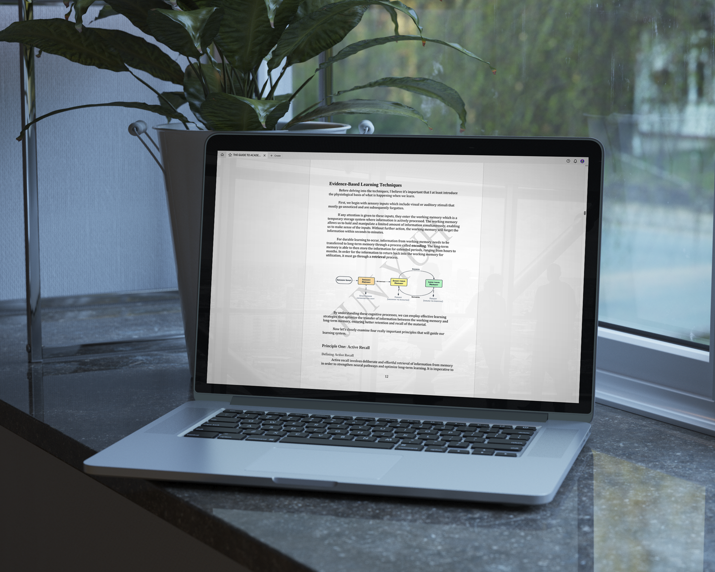 The Guide to Academic Success (PDF)