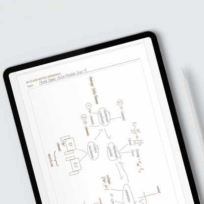 The Learning System (Digital)